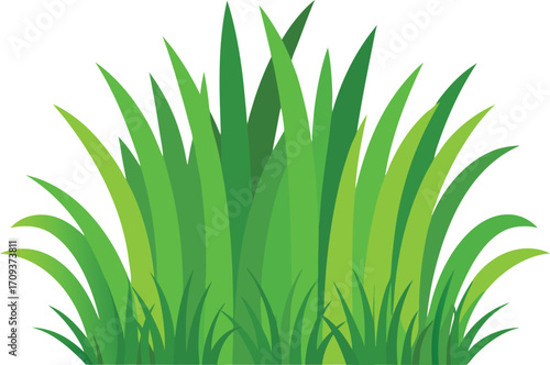 Detailed grass and bush bundle vector illustration scalable nature element