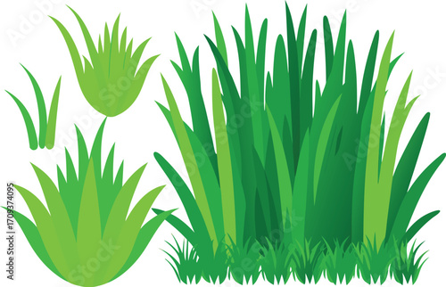Vibrant green grass and bush vector bundle scalable illustration for nature designs