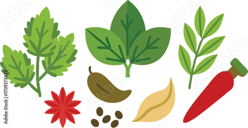 Realistic herb and spice vector bundle fresh botanical illustrations scalable culinary elements