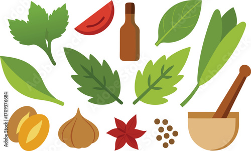 Realistic herb and spice vector bundle scalable illustration for culinary designs