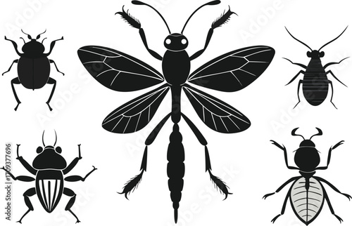 Vector insect pack silhouette collection diverse beetles bees and other flying bugs