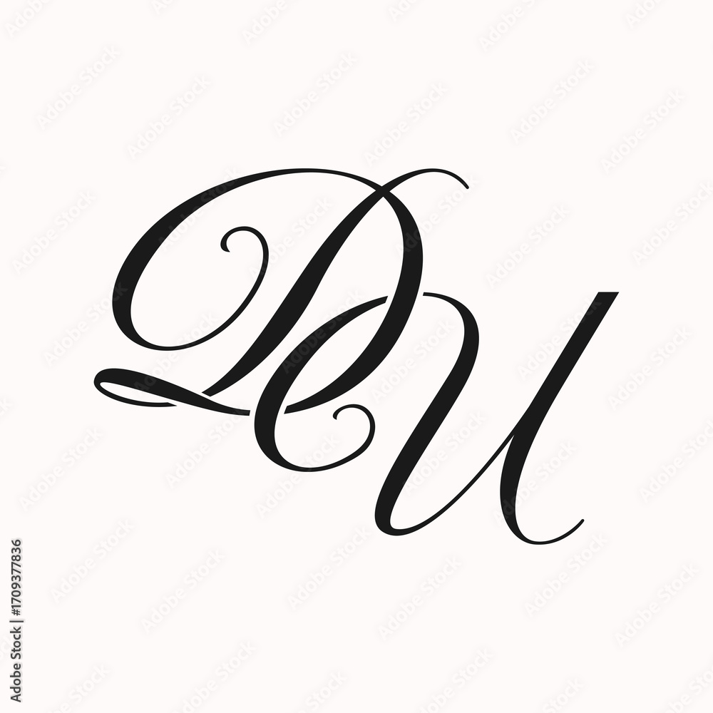 Fototapeta premium DU fashion luxury initial logo vector
