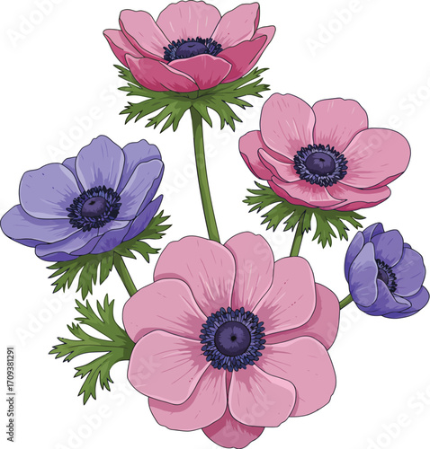 Beautiful Pink and Blue Anemone Flowers Arrangement
