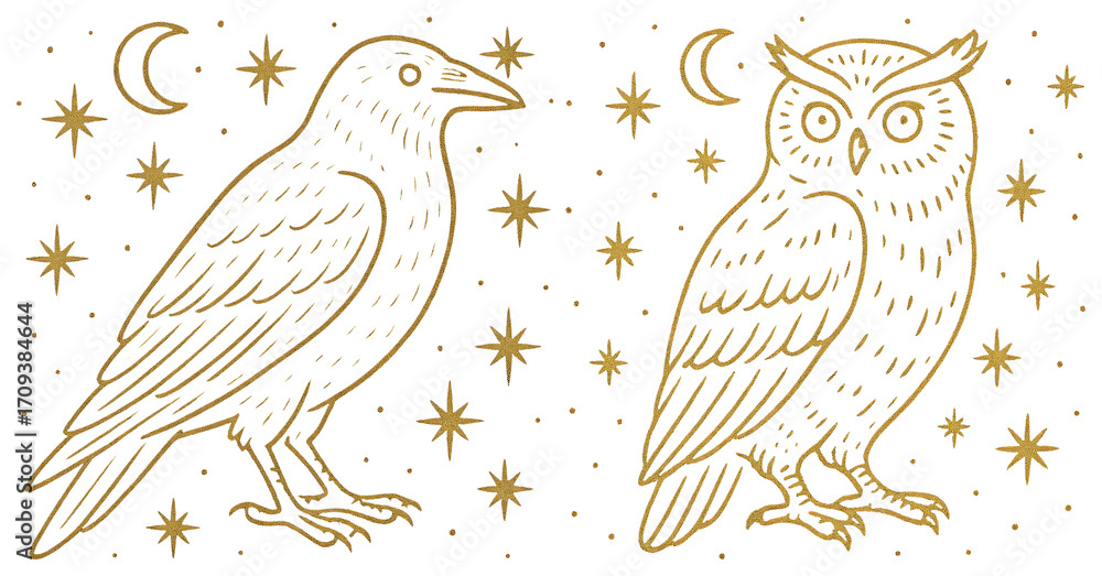 Fototapeta premium PNG Mystical gold bird illustrations night, element set on transparent background
