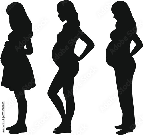 Silhouette of Kneeling Woman Photographer Using DSLR Camera on Tripod to Take Photo – Ideal for Creative, Editorial, and Commercial Use