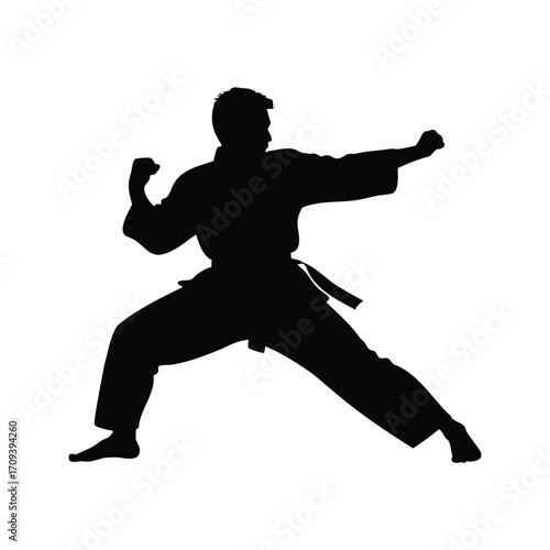 Silhouette of a skilled martial artist in a karate stance punching motion, martial artist blocking punch silhouette vector illustration