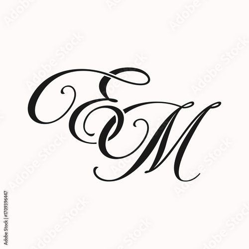 EM fashion luxury initial logo vector