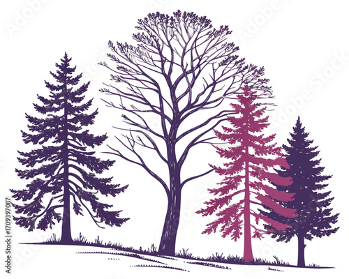 Snow covered pine trees silhouette vector isolated on white background
