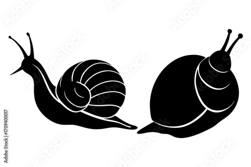 Snail crawling silhouette illustration 