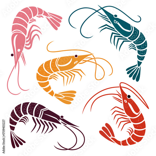 a group of shrimps in different colors
