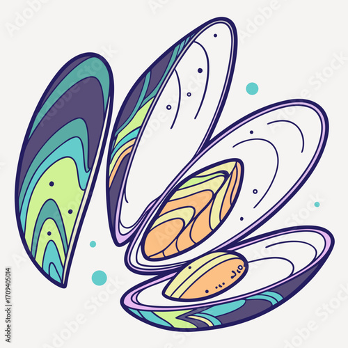 a colorful drawing of a shell
