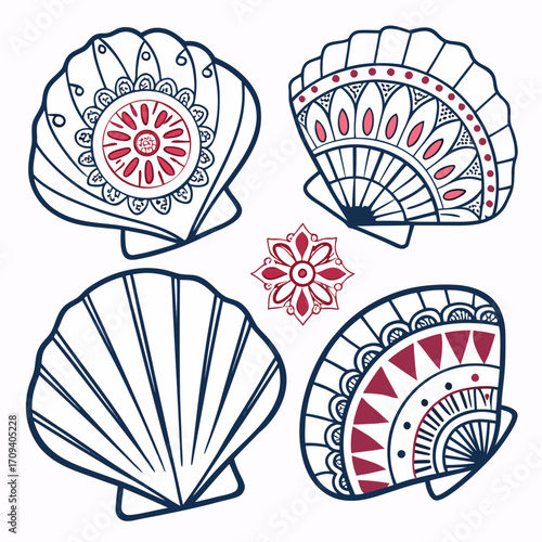 a group of seashells with patterns
