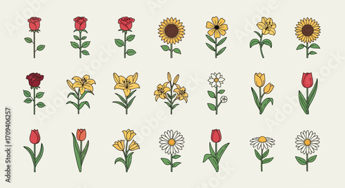 Flat lay illustration of various flowers including roses, sunflowers, lilies, tulips, and daisies;  simple line art style with warm yellow and red tones against a light