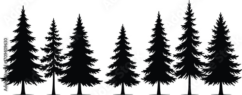 Art & IllustrationSilhouette of pine trees, evergreen forest illustration, black spruce tree set on white background, nature landscape graphic, vector art