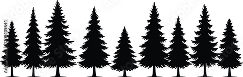 Art & IllustrationSilhouette of pine trees, evergreen forest illustration, black spruce tree set on white background, nature landscape graphic, vector art