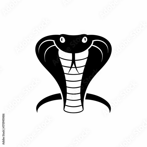 Black cobra head with hood, venomous snake