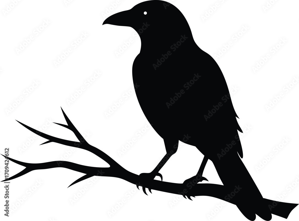 Fototapeta premium Crow on Branch Black Silhouette Vector. Raven or Crow Silhouette Perched on Tree Branch Vector Illustration