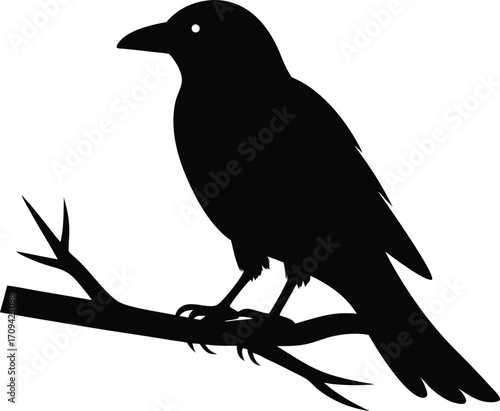 Black Crow Silhouette on Branch Vector Illustration.