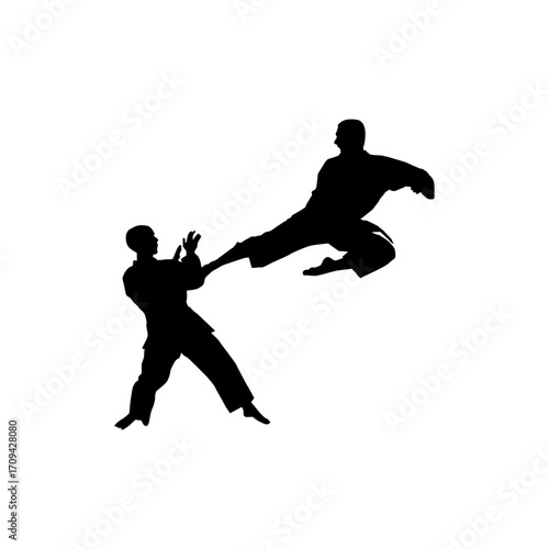 Dynamic Silhouette of Karate Competitors in Action