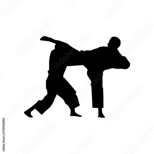 A strong, dynamic silhouette of two people performing a karate kick.