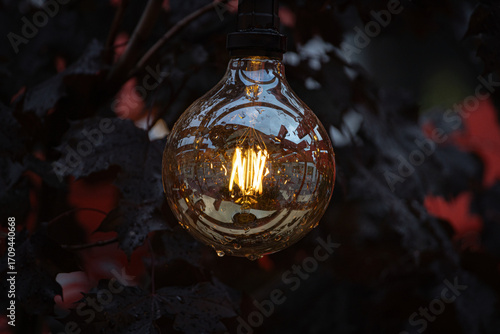 Beautiful decorative electric lamp. Close-up. Soft focus