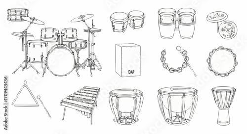 Musical Instruments Set Vector Illustration Line Art Drums Percussion Music