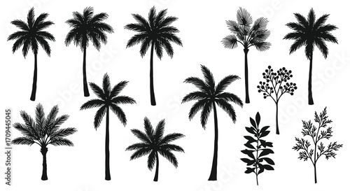 A collection of tropical palm trees and various leafy silhouettes