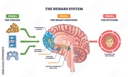 The reward system shows how triggers like food or games activate brain pathways, leading to pleasure and motivation. Outline diagram