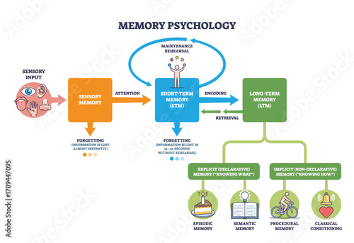 Memory psychology overview showing sensory, short-term, and long-term memory with flow arrows and icons. Outline diagram