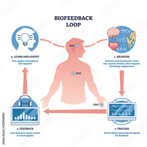 Biofeedback loop shows how brain, heart, and sensors interact for self-regulation using signals and feedback. Outline diagram