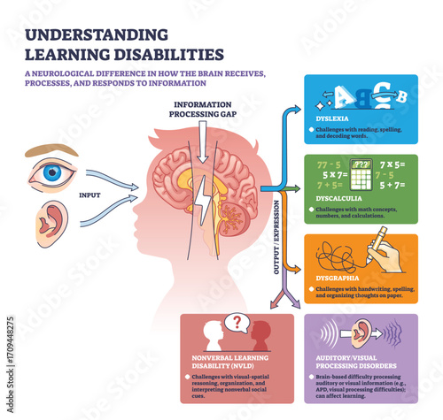 Understanding learning disabilities shows how brain processing gaps affect reading, math, and writing. Key objects, brain, arrows, icons. Outline diagram