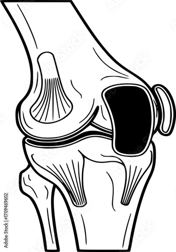 Human Knee Joint icon Vector - Orthopedic Health Symbol and Bone Structure outline and solid illustration