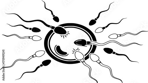 Human Fertilization Icon Vector - Sperm and Egg Reproduction Outline and Solid Illustration