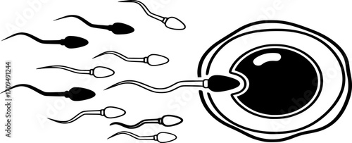 Human Fertilization Icon Vector - Sperm and Egg Reproduction Outline and Solid Illustration