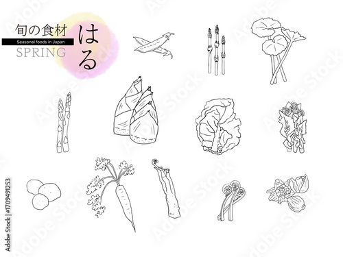 日本の春の食材。春の季節の食べ物。旬の食材。