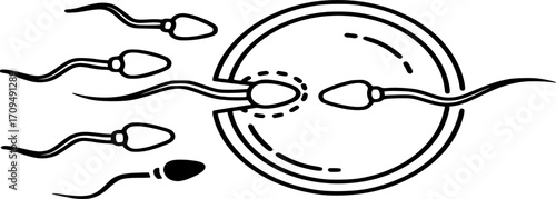 Human Fertilization Icon Vector - Sperm and Egg Reproduction Outline and Solid Illustration