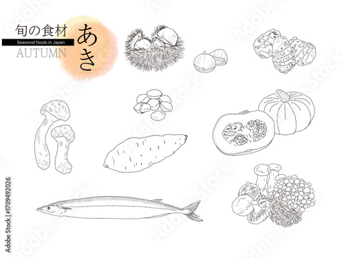 日本の秋の食材。秋の季節の食べ物。旬の食材。