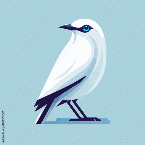 flat illustration of a Bali starling