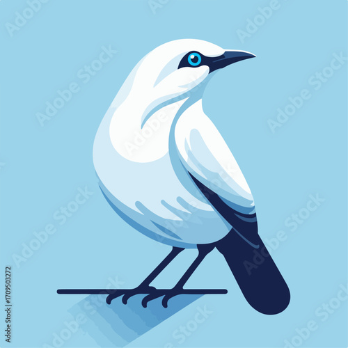 flat illustration of a Bali starling
