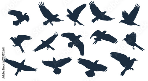 Silhouettes of flying birds in various poses against a white background.