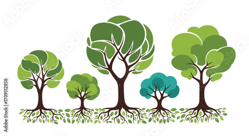 A collection of five different trees with visible root systems.