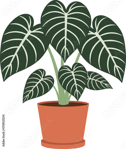Simple Flat Illustration of Alocasia Plant in Pot for Interior Decoration