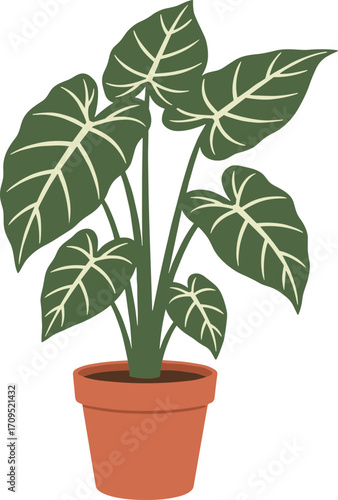 Flat Style Detailed Alocasia Plant in Pot Indoor Decorative Element