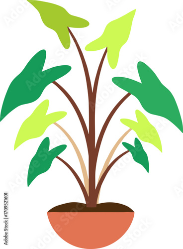 Simple Flat Illustration Alocasia Plant with Brown Pot for Home Decoration