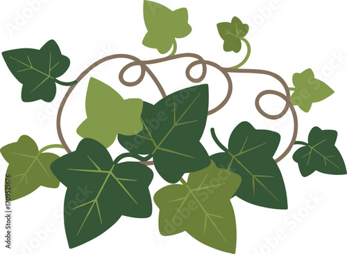 Simple Flat Ivy Leaves and Branch Decorative Ornament Arrangement Illustration