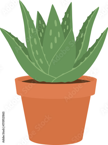 Simple Flat Style Aloe Vera Houseplant in a Terracotta Pot