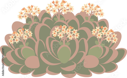 Pastel Color Flat Style Echeveria Succulent Arrangement with Flowers Illustration