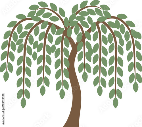 Simple Flat Style Weeping Willow Tree with Green Leaves Illustration