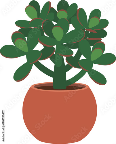 Flat Style Jade Plant in Pot Illustration with Simple Details Category