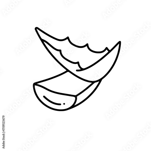 Aloe vera icon, isolated on white, line art, minimalist, clean and simple illustration